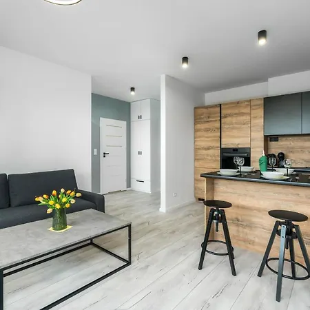 Exclusive With Terrace By Renters Apartment *