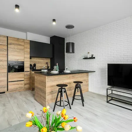 Apartment Exclusive With Terrace By Renters Poznan
